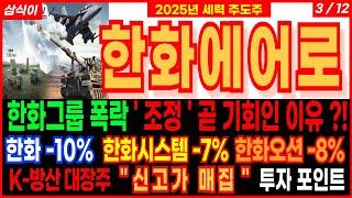 한화에어로스페이스- 한화그룹 폭락 ' 조정 ' 곧 기회인 이유 ?! 한화 -10%  한화시스템 -7% 한화오션 -8% 현대로템 한국항공우주 방산주 주가 주가전망 대응방법 삼식이