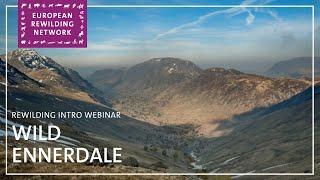 European Rewilding Network | Rewilding Intro | Wild Ennerdale