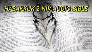 HABAKKUK 2 NIV AUDIO BIBLE(with text)