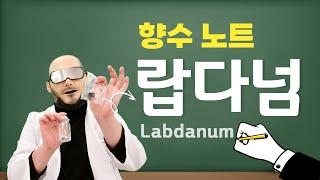 랍다넘(Labdanum) 향수노트에 대해서 | 쎈스쟁이 향기연구소