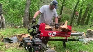 Harbor Freight Predator 20 Ton Log Splitter makes white oak into firewood