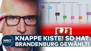 BRANDENBURG: ERGEBNIS LANDTAGSWAHL - SPD gewinnt knapp vor AfD - BSW vor  CDU - FDP kaum messbar