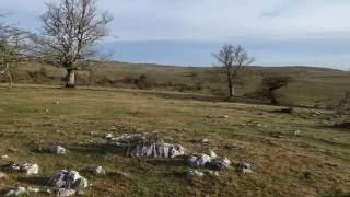 Cromlech de Mendiluze, Megalito en la Sierra de Entzia (Alava)