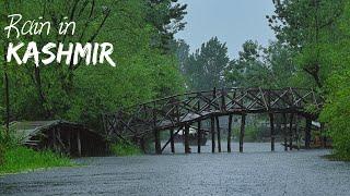 Beauty of Kashmir | Dal lake Shikara and Sonamarg | English 4k