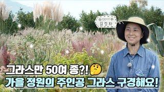 [ SUB ] 가을을 기다린 정원 A garden that waited for autumn | 정원의 발견 Wonders of Garden | KBS제주20230922방송