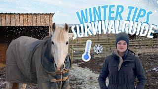 Horse Care Winter Tips ️