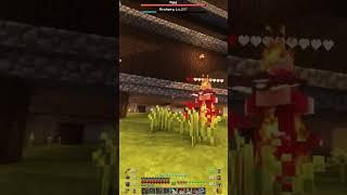 The Desperate Struggle Of A Pillager! 