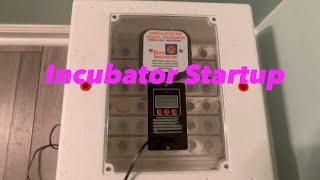 Farm Innovators 2250 Incubator: Chicken Eggs!