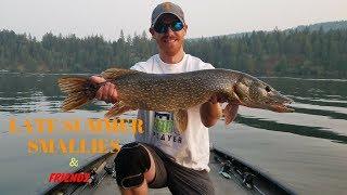 Smallies & Friends Vol. 1 (Long Lake, WA)