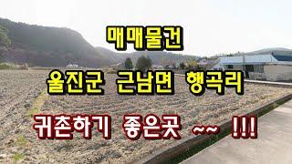 (매매완료) 부동산매매 - 경북 울진군 근남면 행곡리 땅