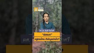 “ช่องบก” อยู่ตรงไหน สำคัญอย่างไร? #ศิลปวัฒนธรรม #SilpaMag #SilpaTale