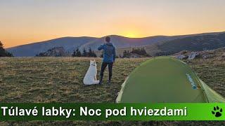 Túlavé labky: Noc pod hviezdami (fotenie nočnej oblohy)