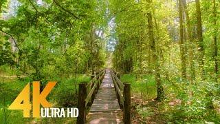 4K Walking Tour through the Amazing Natural Landmarks of Lithuania - Part #2