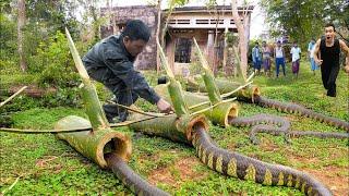 lean up Abandoned House | DIY Snake Trap Technology. How To Make Big Python Snake Trap Work 100%