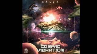 Saluk - Cosmic Vibration