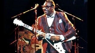 ALBERT KING - Full Concert (Live in Switzerland, 1984)