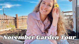 November Garden Tour In Texas