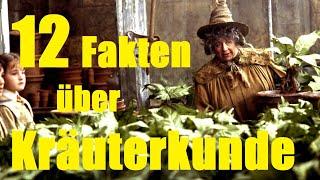 12 FAKTEN über KRÄUTERKUNDE 