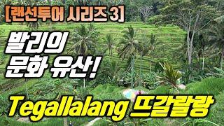 발리 랜선투어 시리즈 3탄 | 유네스코 문화유산 다랑이논 뜨갈랄랑. 코로나가 끝나면 여행 계획을 세워보자!