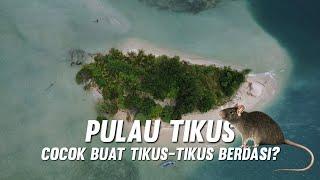 PULAU TIKUS PULAU TERKECIL DI MALUKU