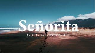 Shawn Mendes, Camila Cabello – Señorita「Lyrics 」