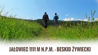 Jałowiec 1111 m n.p.m. - Beskid Żywiecki