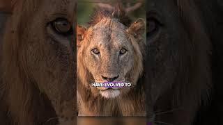 8 Animal Facts You Never Knew About!