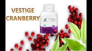 VESTIGE CRANBERRY CAPSULES USES & BENEFITS #womenhealth #vestigecranberry #urinarytractinfection