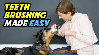 How to Easily Brush Your Dog's Teeth: Step-by-Step Tutorial