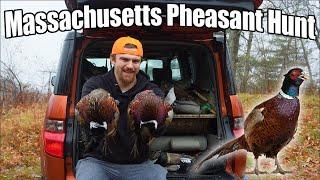 Massachusetts PHEASANT HUNTING | 2 Hunts 3 Birds!!