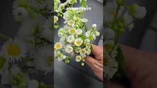 오늘의 수확물!!