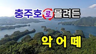 외국가도 못볼 광경을 악어봉에서 | 정식개방전 확인후 탐방요(더보기)