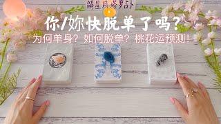 ⏰你快脱单了吗？为何单身？如何脱单？桃花运预测疗愈解析，实话实说，塔罗占卜助你脱单成功！