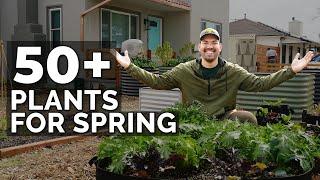 50+ Plants I'm Growing In My Spring Garden   