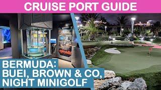 2024 Bermuda Cruise Port Guide: BUEI, Brown & Co., & Night Minigolf