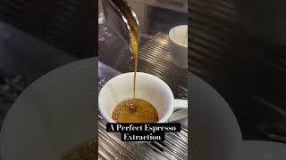 How a Good Espresso Extraction Should Look