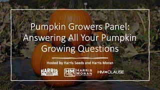 Pumpkin Growers Panel: Answering All Your Pumpkin Growing Questions