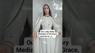 Our Lady, Mary Mediatrix of All Grace, pray for us.