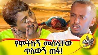 እንዳይመጣብኝ ያልኩትን ልጅ ቀስ በቀስ ምግቡንም ጨዋታውንም እናፍቅለት ጀመር! የእየሩሳሌም#lifestyle #comedianeshetu  #ethiopia #2024