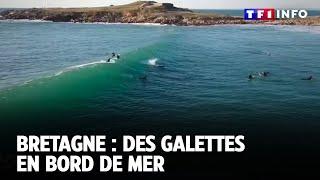 Bretagne : des galettes en bord de mer ｜TF1 INFO