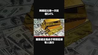 阿根廷比索贬值54%