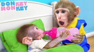 Baby Care Song  Donkey Take Care Of Cute Baby | Donkey Monkey - Nursery Rhymes