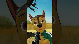 Help Chase defeat Lirili larila in Squid Game #shorts #pawpatrol #funny #squidgame #chase