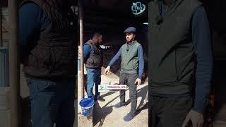 BUQALARNI SEMIRTIRISH SIRLARI VITOBAZA TOSHBOLTAOTA | бУКАЛАРНИ СЕМИРТИРИШ СИРЛАРИ