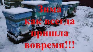 ЗИМОВКА ПЧЁЛ НА ВОЛЕ!!!  ЗИМА ПРИХОДИТ НЕЗАМЕТНО!!!  А ЧТО У ВАС В УЛЬЯХ???