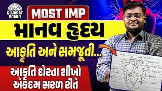 Std 10 Science Ch 5 જૈવિક ક્રિયાઓ | Dhoran 10 Vigyan ch 5 માનવ હદય| Std 10 Sci Ch 5 | Hiren sir