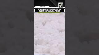 Toxic foam floats on Yamuna River in Delhi’s Kalindi Kunj as pollution level remains high