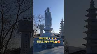 부부제자‍️‍️천궁도화TV #무료점사 #신점 #신점잘보는곳 #통일 #통일전망대 #윤석열 #탄핵