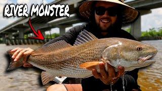 Kayak Fishing Florida River LOADED With Hungry Fish! | Live Shrimp Around Edge and Bottom Structure