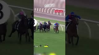 Zaaki - Champions Stakes 2022  #shorts #horseracing